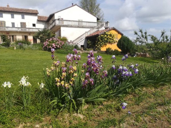 casa indipendente in vendita a Castagnole Monferrato