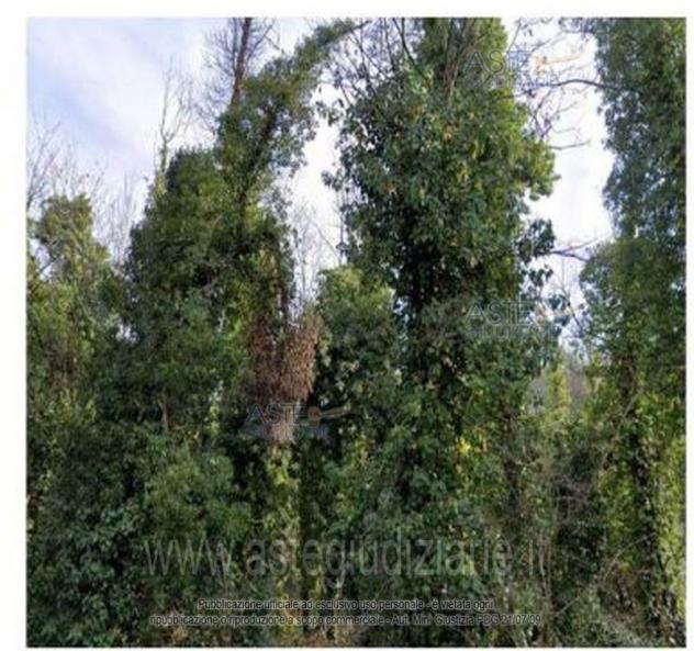 terreno edificabile in vendita a Castagnole Monferrato in zona Valvinera