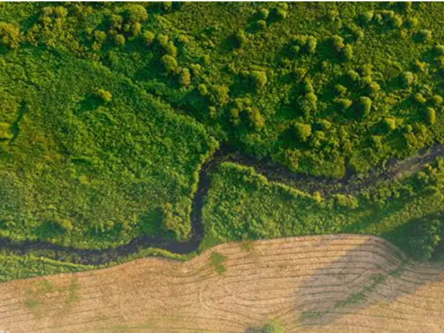 terreno agricolo in vendita a Castagnole Monferrato in zona Valvinera