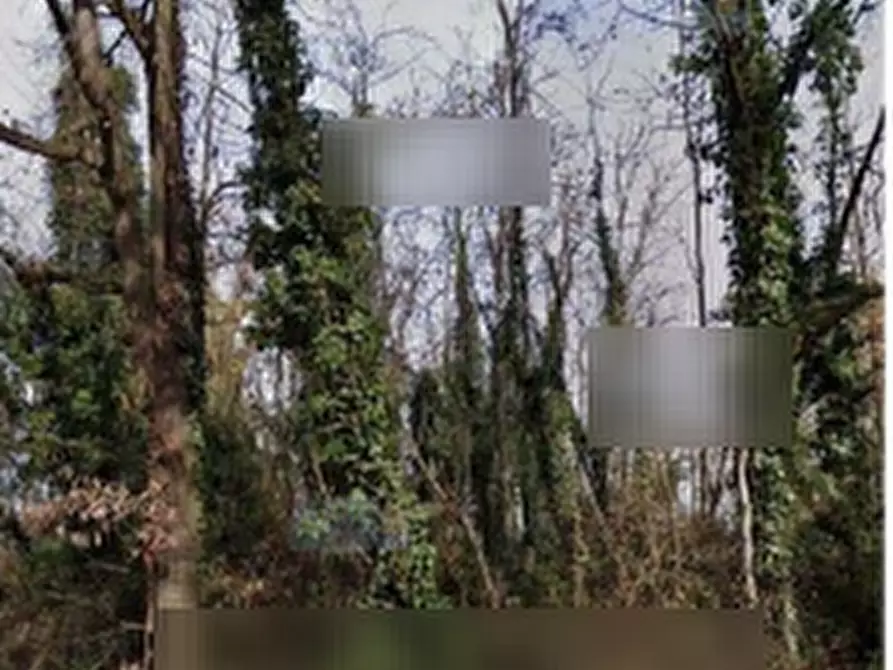 terreno agricolo in vendita a Castagnole Monferrato in zona Valvinera