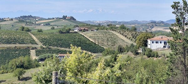 appartamento in vendita a Castagnole Monferrato