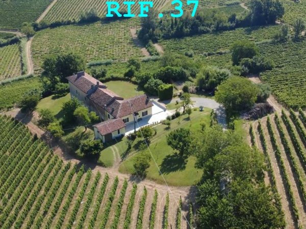 casa indipendente in vendita a Castelletto Molina