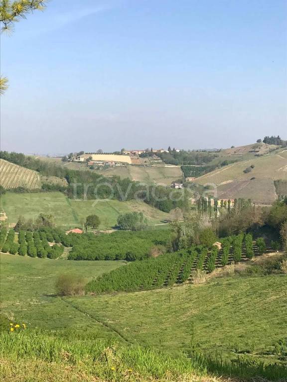 casa indipendente in vendita a Castelnuovo Calcea
