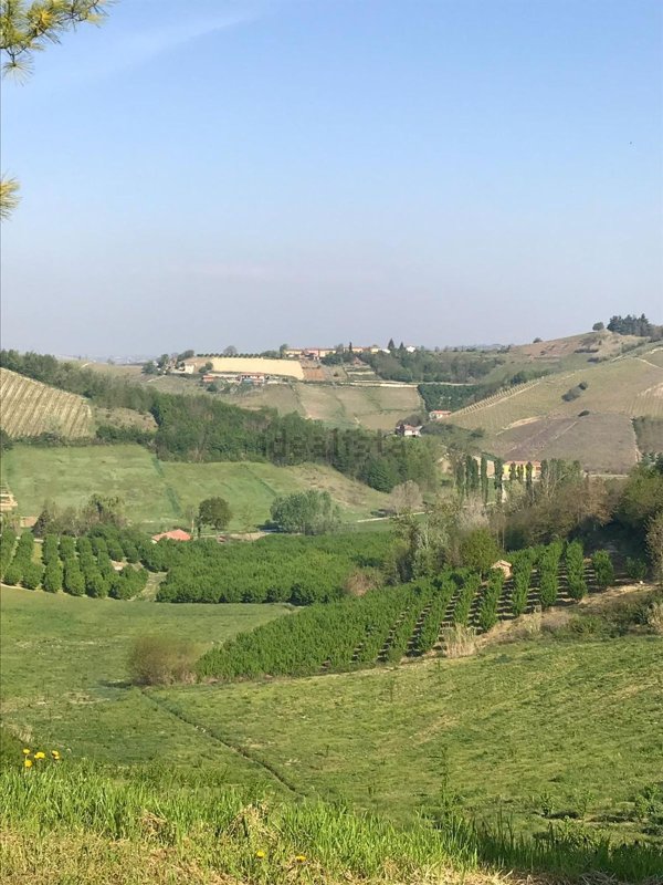 casale in vendita a Castelnuovo Calcea