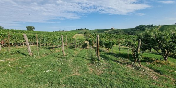 casa indipendente in vendita a Castelnuovo Calcea