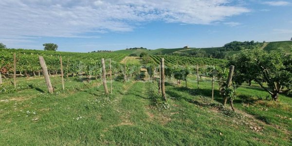 casa indipendente in vendita a Castelnuovo Calcea