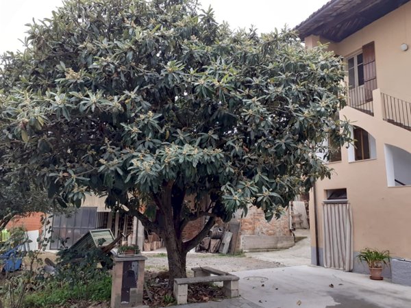 casa indipendente in vendita a Castelnuovo Don Bosco