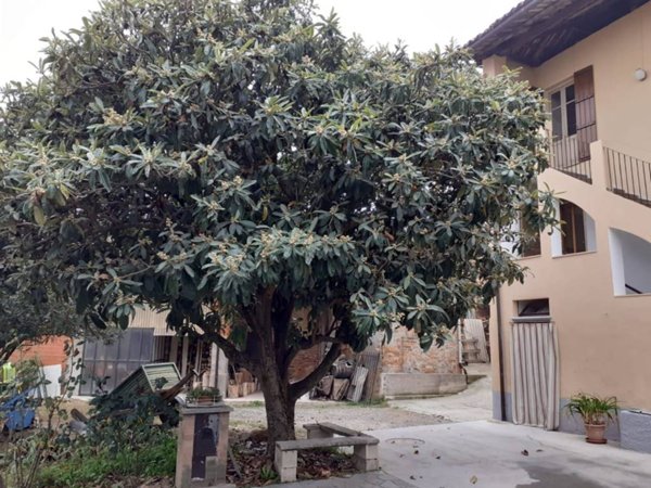 casa indipendente in vendita a Castelnuovo Don Bosco