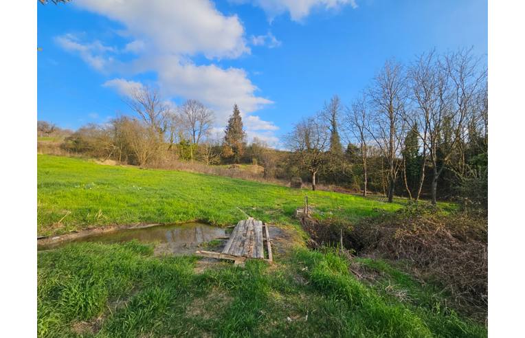 terreno agricolo in vendita a Castelnuovo Don Bosco in zona Nevissano