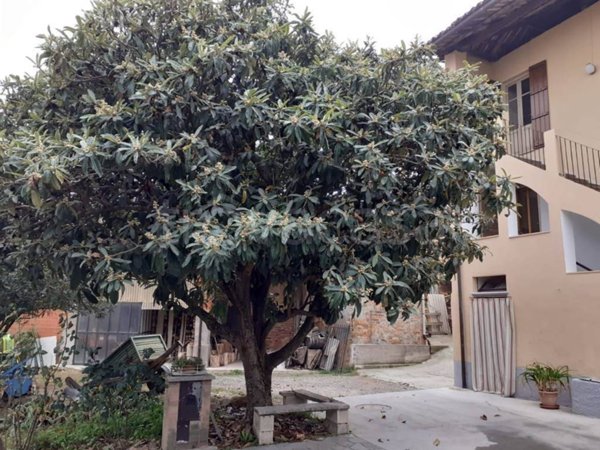 casa indipendente in vendita a Castelnuovo Don Bosco