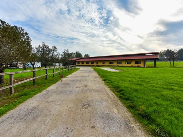 terreno agricolo in vendita a Cellarengo