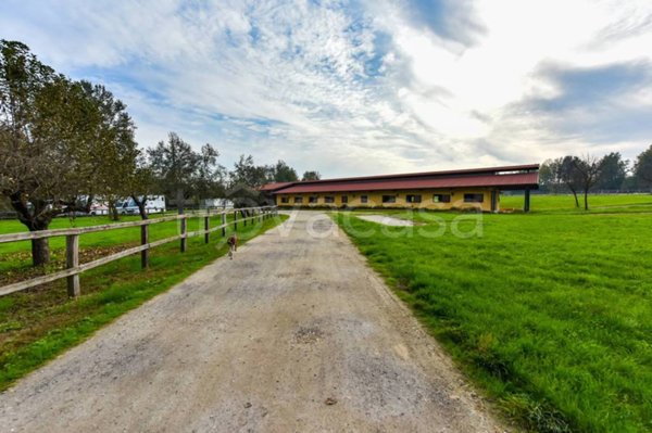 casa indipendente in vendita a Cellarengo