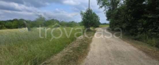 terreno agricolo in vendita a Cellarengo