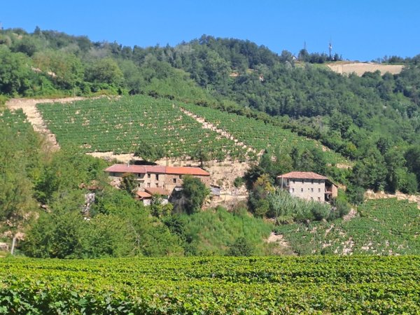 casale in vendita a Cessole