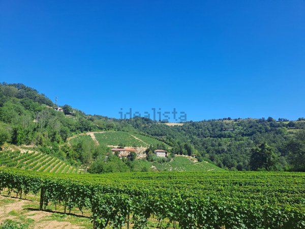 terreno agricolo in vendita a Cessole