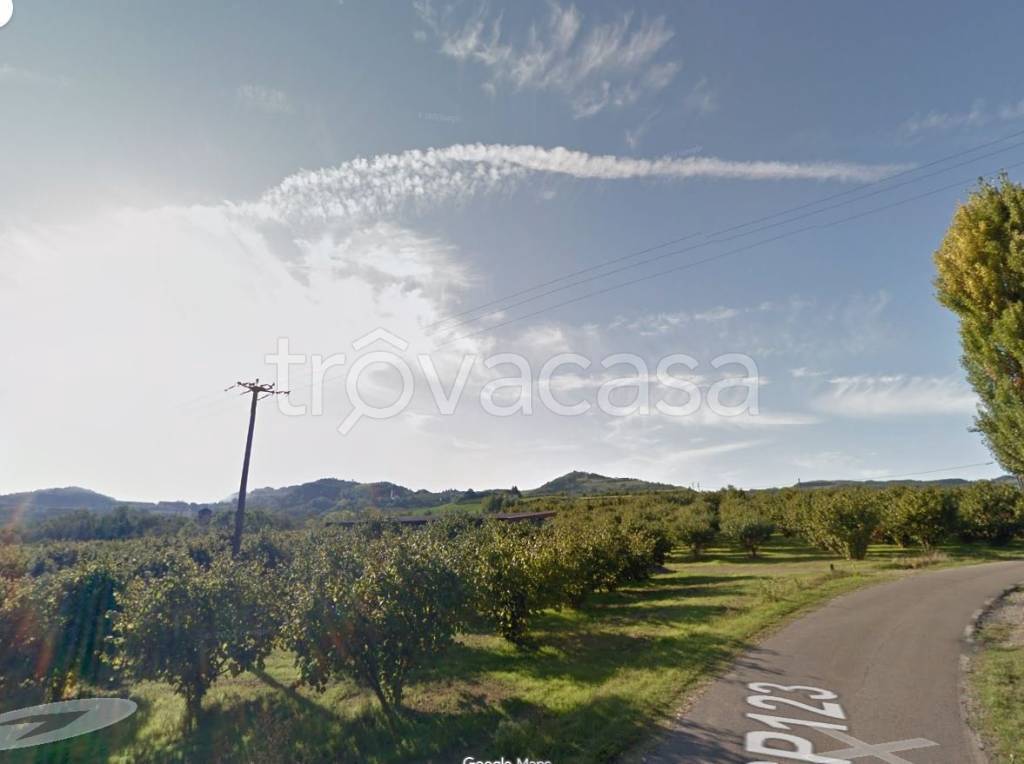 terreno agricolo in vendita a Cessole