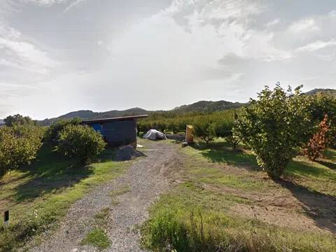 terreno agricolo in vendita a Cessole