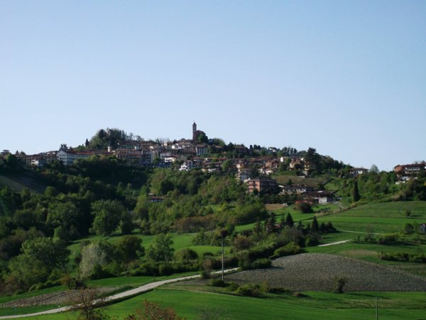 terreno edificabile in vendita a Cocconato