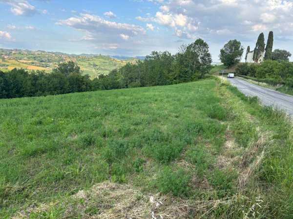 terreno agricolo in vendita a Cocconato in zona Cocconito