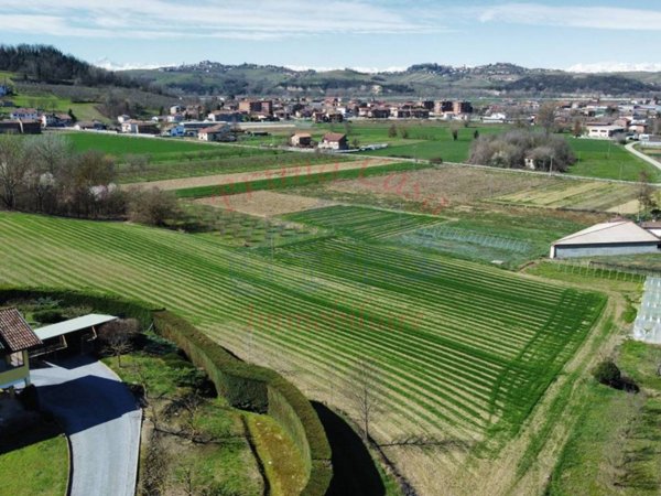 terreno agricolo in vendita a Costigliole d'Asti