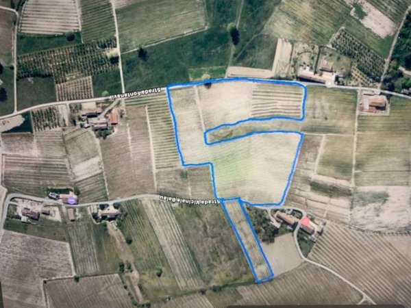 terreno agricolo in vendita a Costigliole d'Asti