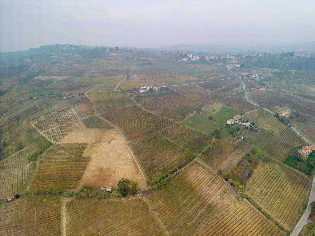 terreno agricolo in vendita a Costigliole d'Asti