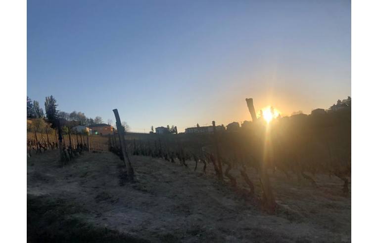 terreno agricolo in vendita a Costigliole d'Asti