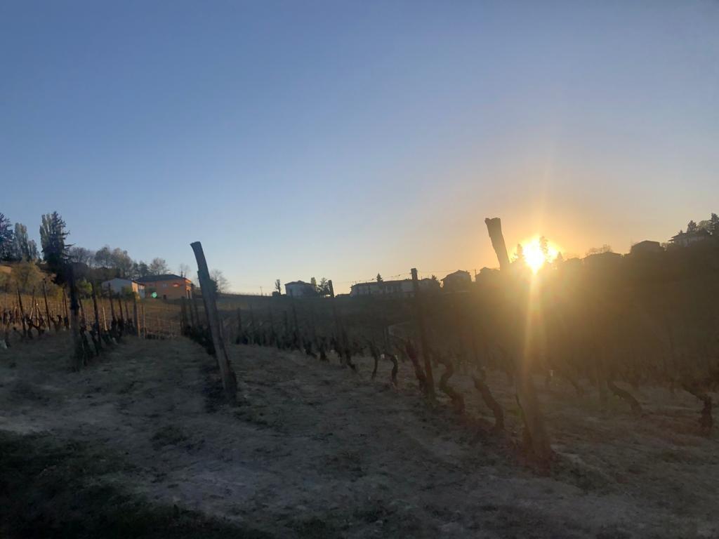 terreno agricolo in vendita a Costigliole d'Asti