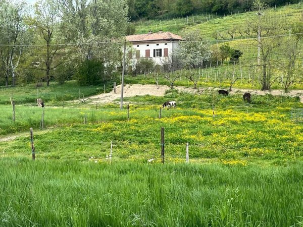 casa indipendente in vendita a Costigliole d'Asti