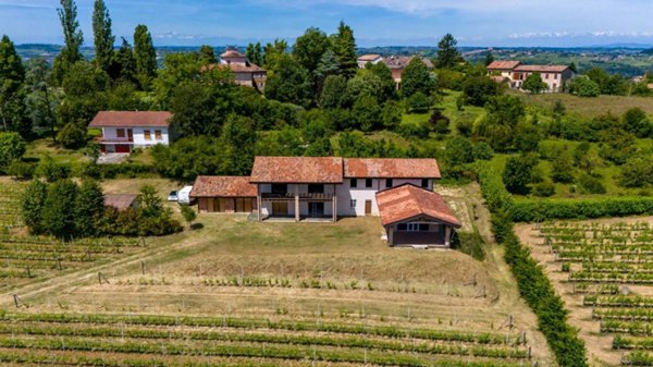 azienda agricola in vendita a Costigliole d'Asti in zona Annunziata