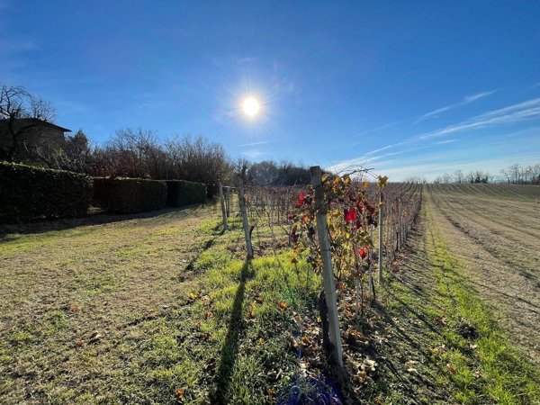 terreno agricolo in vendita a Costigliole d'Asti in zona Annunziata