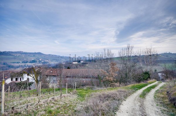 terreno agricolo in vendita a Costigliole d'Asti