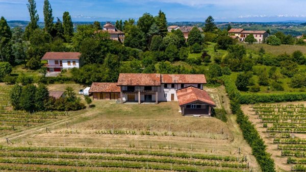 azienda agricola in vendita a Costigliole d'Asti in zona Annunziata