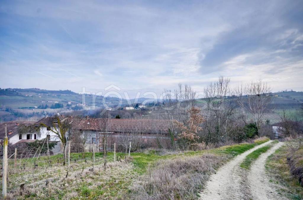 terreno agricolo in vendita a Costigliole d'Asti