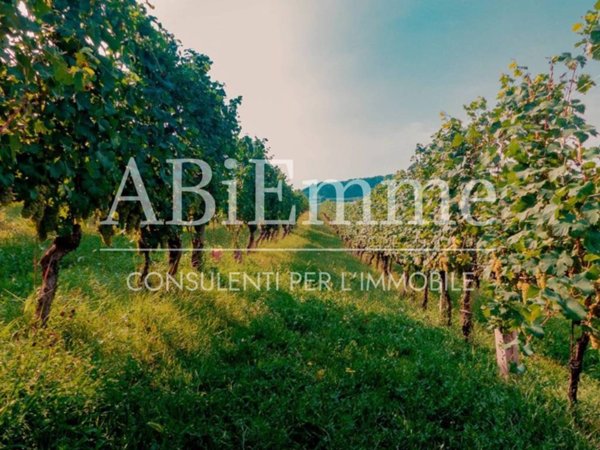 terreno agricolo in vendita a Costigliole d'Asti