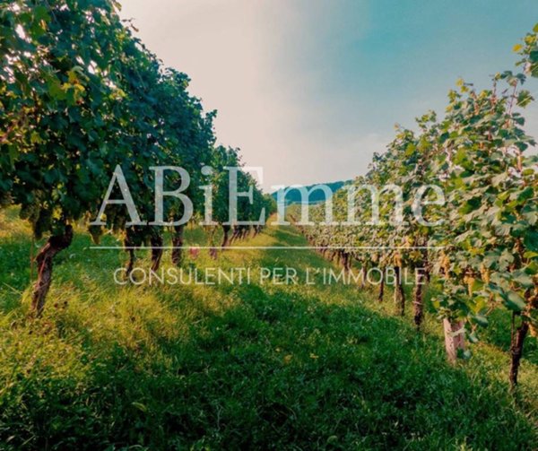 terreno agricolo in vendita a Costigliole d'Asti