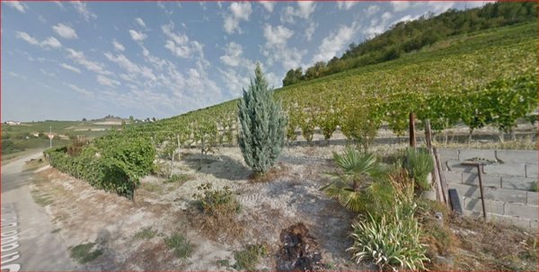 terreno edificabile in vendita a Costigliole d'Asti