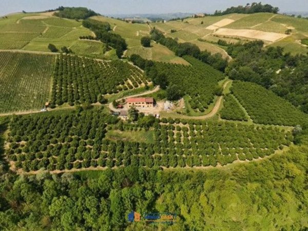 casale in vendita a Costigliole d'Asti