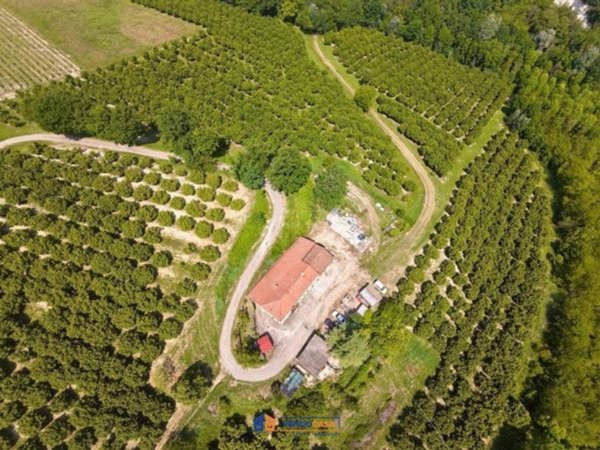 casale in vendita a Costigliole d'Asti