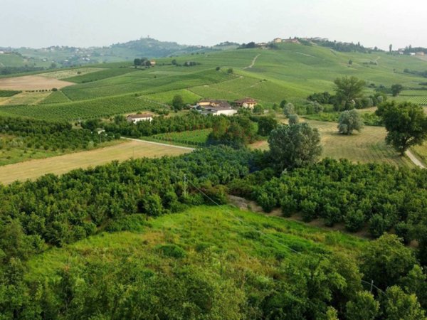 terreno agricolo in vendita a Costigliole d'Asti