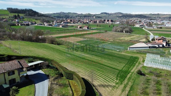 terreno agricolo in vendita a Costigliole d'Asti