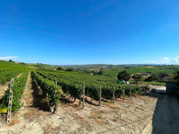 terreno agricolo in vendita a Costigliole d'Asti in zona Annunziata
