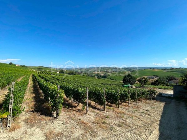terreno agricolo in vendita a Costigliole d'Asti in zona Annunziata