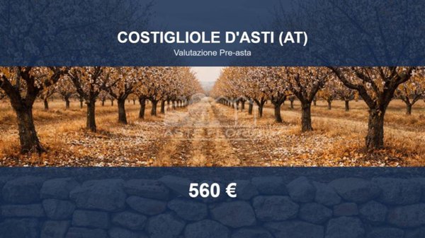 terreno edificabile in vendita a Costigliole d'Asti