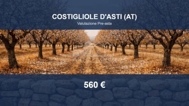 terreno agricolo in vendita a Costigliole d'Asti