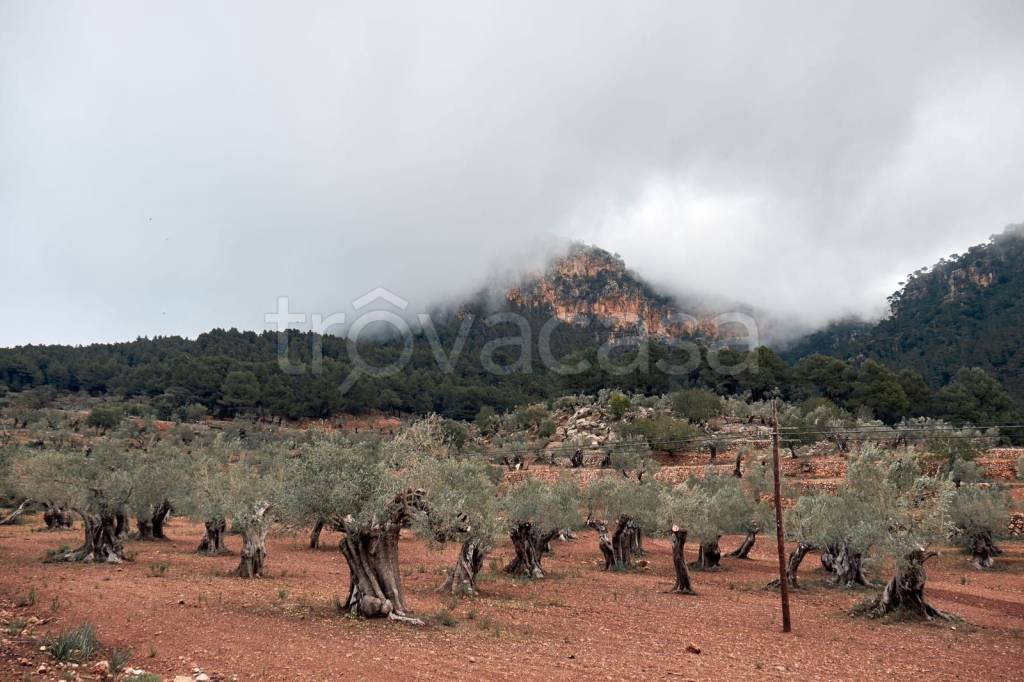 terreno agricolo in vendita a Costigliole d'Asti