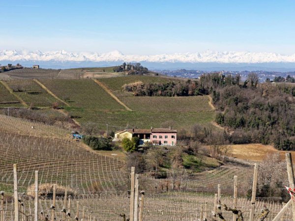 casa indipendente in vendita a Fontanile
