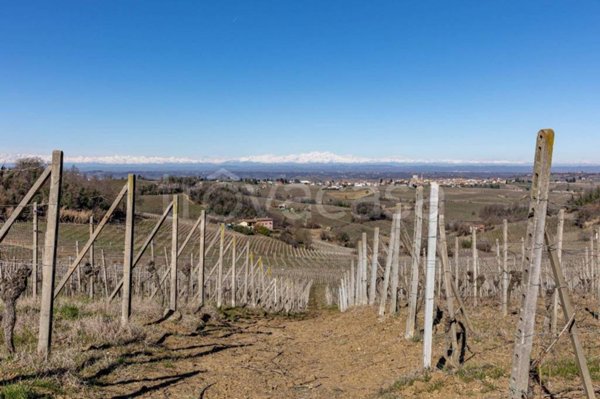 terreno agricolo in vendita a Fontanile