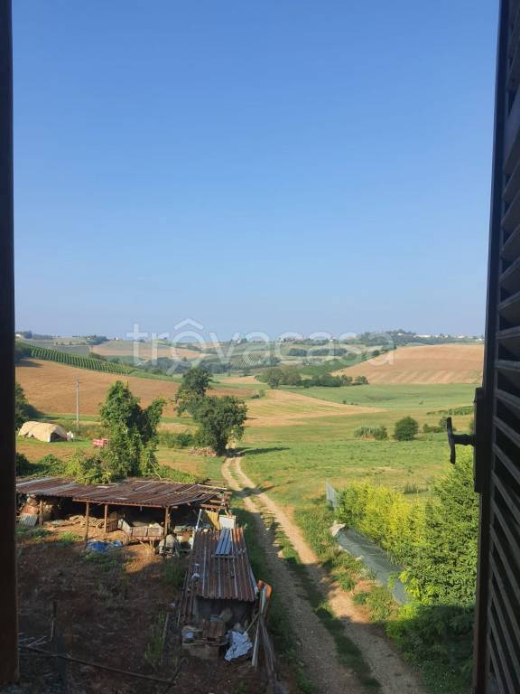 casa indipendente in vendita a Grana Monferrato