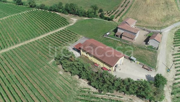 azienda agricola in vendita ad Isola d'Asti in zona Piano